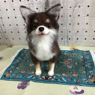 チョコタンチワワ（お座りポーズ）(ぬいぐるみ)