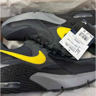 ナイキ(NIKE)のナイキ エア マックス エクシー FZ5486-002(スニーカー)
