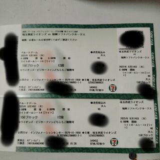 ベルーナドーム　ライオンズvsホークス2枚(野球)