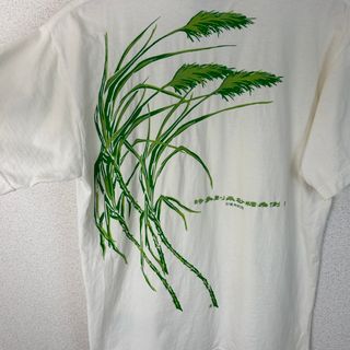 Habu Box ハブボックス サトウキビ バックプリント 半袖Tシャツ ホワイト Mサイズ メンズ 古着 ナード系　グラフィックt(Tシャツ/カットソー(半袖/袖なし))