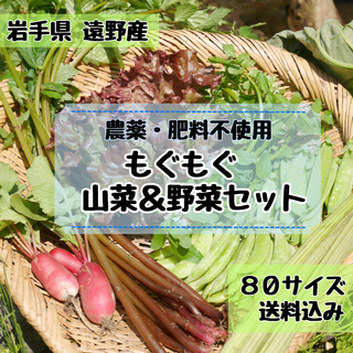 \\農家直送 奥深い味わい// 野菜詰め合わせ 80サイズ《農薬不使用》(野菜)
