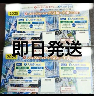 ナガシマスパーランド　乗り物パスポート　2枚　入浴券　湯あみの島(遊園地/テーマパーク)