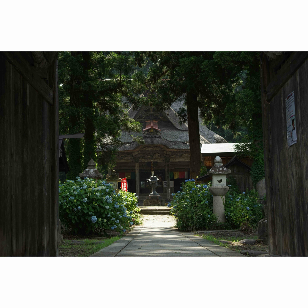 Kenko Tokina(ケンコートキナー)の作例付き　RMC TOKINA 28-85mm F4 OM 管mpr スマホ/家電/カメラのカメラ(レンズ(ズーム))の商品写真