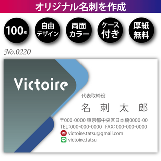 名刺作成 名刺印刷 100枚 両面 フルカラー 紙ケース付 No.0220