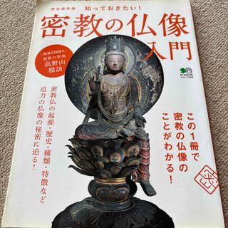 【送料込み】密教の仏像入門