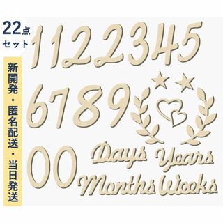 月齢フォト ニューボーンフォト 22枚 マンスリーカード 木製レターバナー