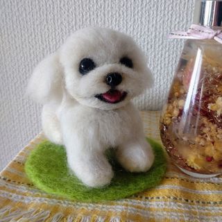 羊毛フェルト☆マルチーズ☆ぬいぐるみ☆ハンドメイド