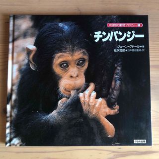 絵本・児童書 大自然の動物ファミリー1 チンパンジー くもん出版　