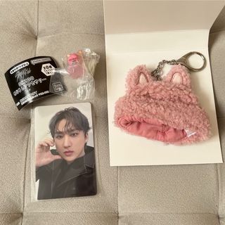 Stray Kids スキズ SKZOO トゥエッキ チャンビン 3点セット