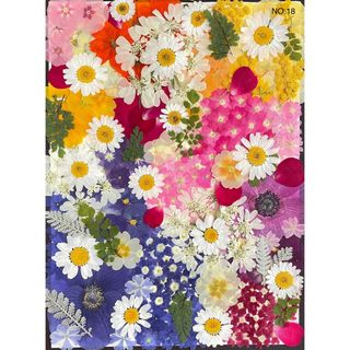 押し花素材☆特大セット
