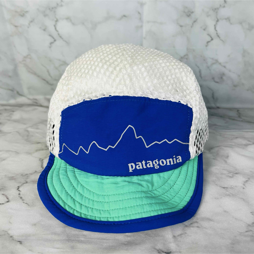 【史上最も激安】 patagonia - 【廃盤 希少品】 パタゴニア ダックビルキャップ 帽子