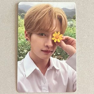 stray kids リノ noeasy 封入 トレカ B