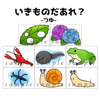 カードシアター「生き物だあれ？–梅雨–」ペープサート虫保育教材お誕生日会）g16(型紙/パターン)