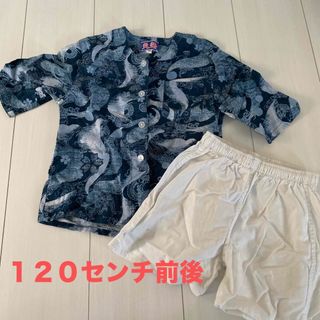 セラフ子供服　祭り　半纏　前後　鯉　白短パン　ねぶた　ねぷた　祭り　甚平(甚平/浴衣)