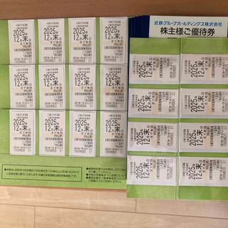 近鉄グループホールディングス株主優待券(鉄道乗車券)