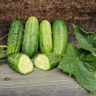 ピクルスきゅうり　種　オーガニック　固定種　10粒(その他)