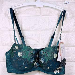 トリンプ(Triumph)のトリンプ　レッドレーベル0104 ブラジャー　C75(ブラ)