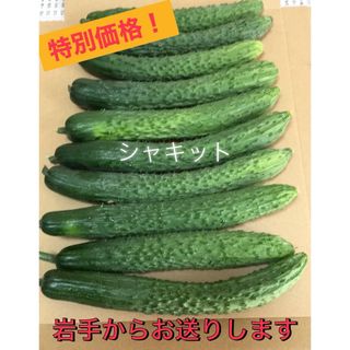 特別価格！きゅうり　シャキット　ネコポス(野菜)
