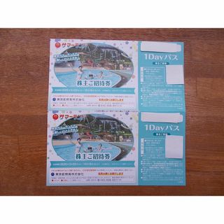 ラクマパック即発送　東京サマーランド 株主招待券２枚(遊園地/テーマパーク)
