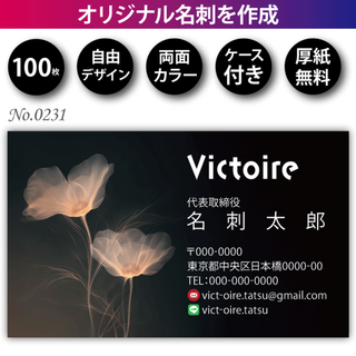 名刺作成 名刺印刷 100枚 両面 フルカラー 紙ケース付 No.0231