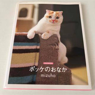 「ポッケのおなか」 mizuha