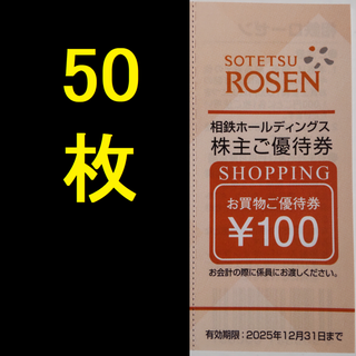 相鉄ローゼン 株主優待券 5000円分 2025年12月期限 -a(ショッピング)
