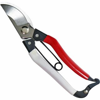 【在庫処分】近与(KONYO) 大五郎 ステンレス剪定鋏 200mm(その他)