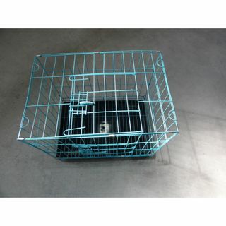 美品 ﾍﾟｯﾄｹﾞｰｼﾞ　ﾄﾚｰつき　ﾌﾞﾙｰ(犬)