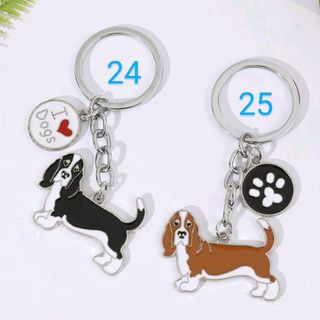 バセットハウンド(犬)
