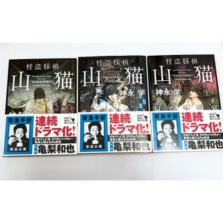 【3冊セット】怪盗探偵山猫 神永学 亀梨和也(文学/小説)