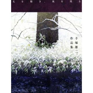 光を聴き、風を視る 手塚雄二作品集／手塚雄二(著者)(アート/エンタメ)
