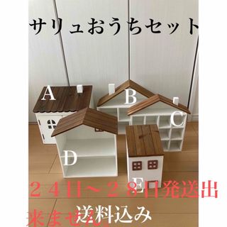 サリュおうち５個セット(その他)