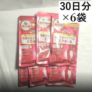 コバヤシセイヤク(小林製薬)の■小林製薬 エクオール 30日分×6袋(180日分)(その他)