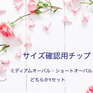サイズ確認用ネイルチップ(つけ爪/ネイルチップ)
