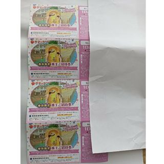 東京サマーランド1Dayパス6枚(春秋限定間)有効期限10/19(遊園地/テーマパーク)