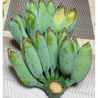 限定特価！農家産直！ 沖縄産アイスクリームバナナ！　1.5㎏以上！(フルーツ)