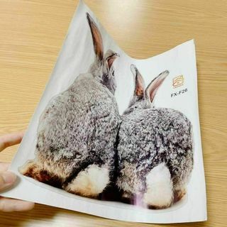 早い者勝ち‼️ 動物ウサギ　ウォールステッカー　子供　キッズルーム　インテリア