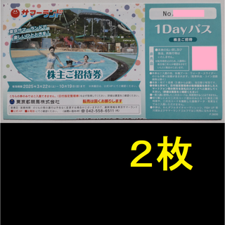 東京サマーランド 株主優待券 2枚 2025年10月期限(遊園地/テーマパーク)