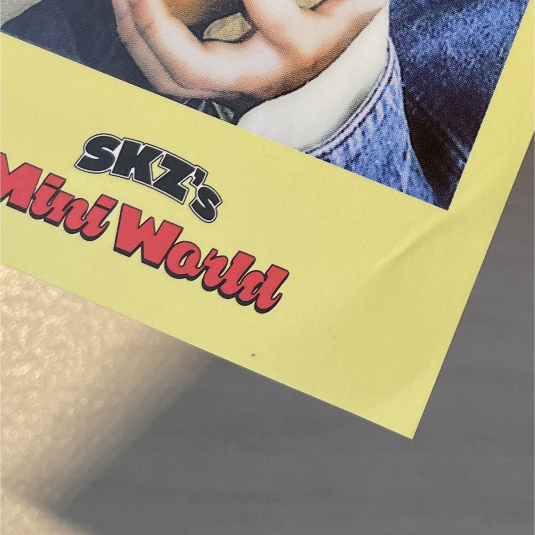 リノ ポラロイド シーグリ 2023 ポラ チェキ スキズ straykids