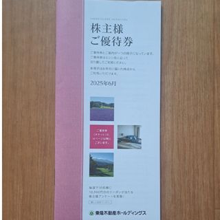 東急不動産ホールディングス　ご優待券(その他)