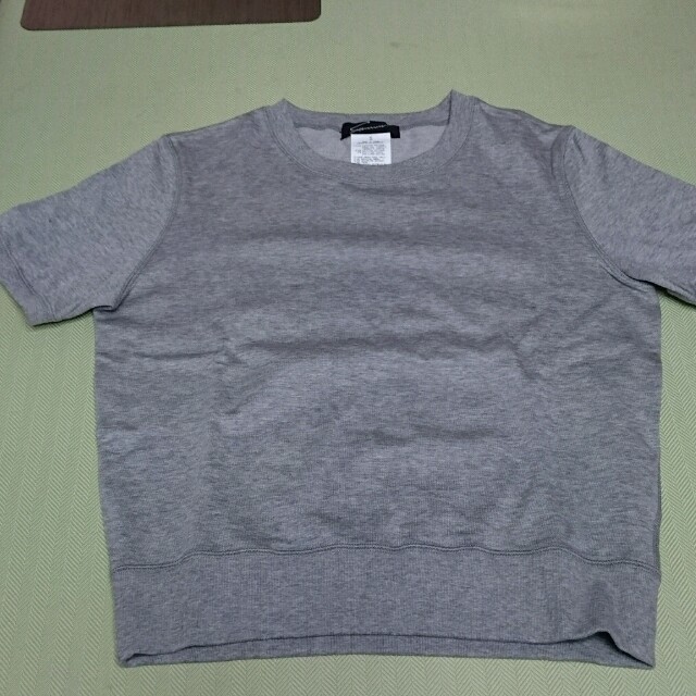 STUNNING LURE(スタニングルアー)の未使用 スターニングルアー グレー厚手半袖Tシャツ レディースのトップス(Tシャツ(半袖/袖なし))の商品写真