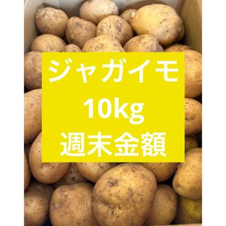 長崎県産 ジャガイモ 10kg(野菜)