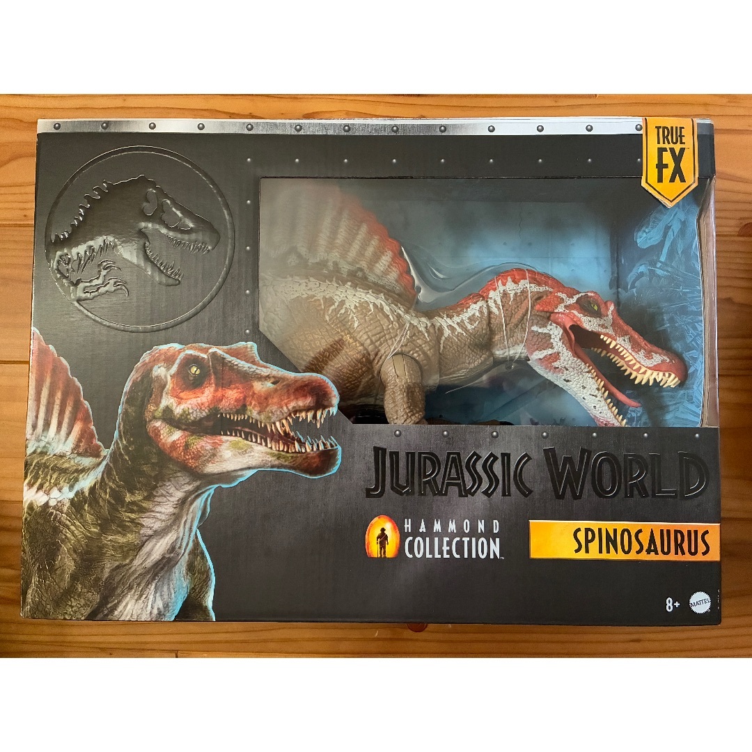 【中古】 アクセラレータにダマされた！ パソコン自主改造/エヌジェーケーテクノ・システム/木田佳克 中古】 アクセラレータにダマされた！ パソコン自主改造