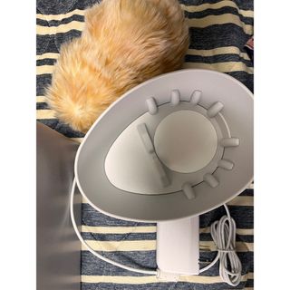 モフリン カシオ AIペット