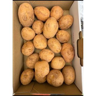 じゃがいも 赤土 約1キロ 正規品(野菜)
