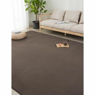 ＨＡＲＵＭＩＮ カーペット ラグ ラグマット 洗える 200×250cm 約3畳