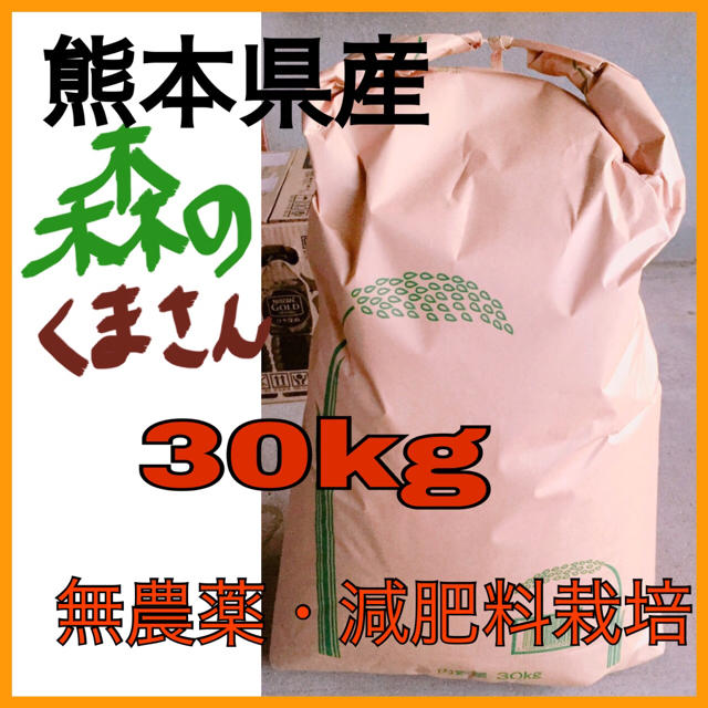 残り1袋 即購入優先 平成28年度産 米 30kg 全国送料無料 食品/飲料/酒の食品(米/穀物)の商品写真