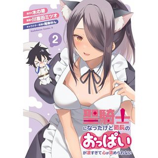 聖騎士になったけど団長のおっぱいが凄すぎて心が清められない ２/ＫＡＤＯＫＡＷＡ/川喜田ミツオ（コミック）(その他)