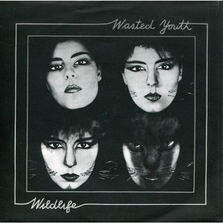 英7” Wasted Youth (3) Wildlife BHS13 Bridge House Records /00080(その他)