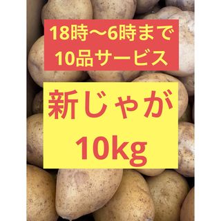 12時間だけのサービス　長崎県産 ジャガイモ 10kg(野菜)